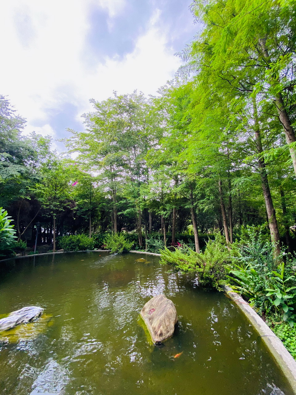 「轉念」- 印心湖拱橋