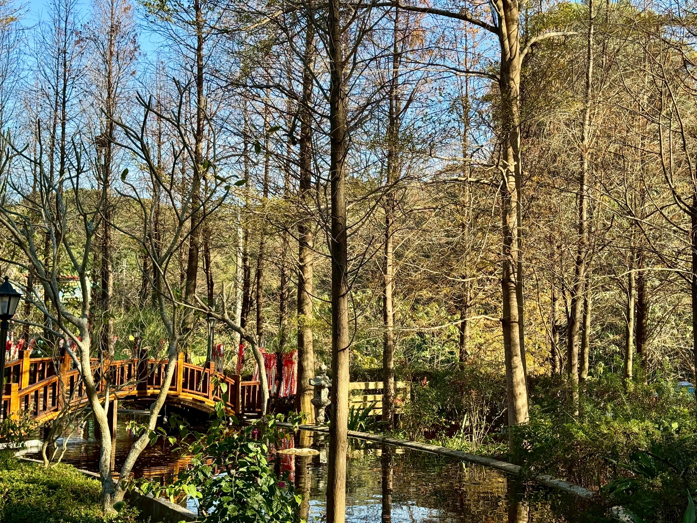 「轉念」- 印心湖拱橋